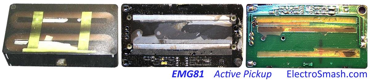 EMG81 Guts